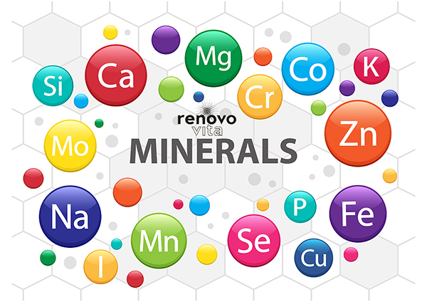 RenovoVita Ingredient spotlight #7 Trace metals: copper, magnesium, zinc, & selenium