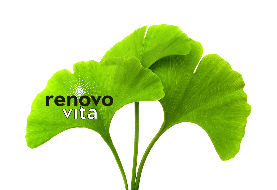 RenovoVita Ingredient Spotlight #9 Ginkgo Biloba