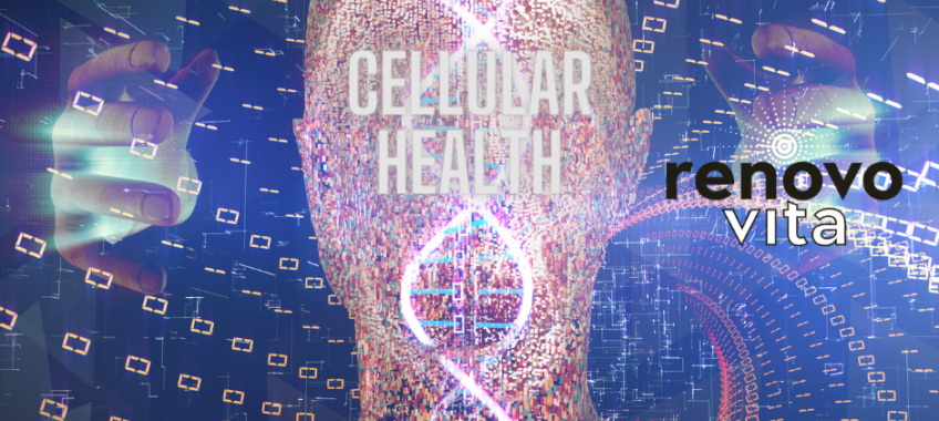 Discover How Poor Cellular Health Could be Holding You Back