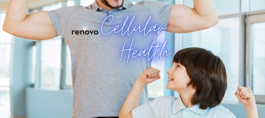 RenovoVita With-n Cell health