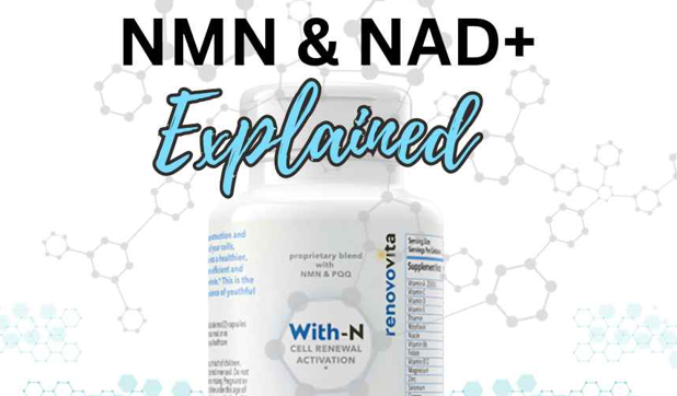 NMN & NAD+ - The Anti-Aging Connection Explained in Layman's Terms