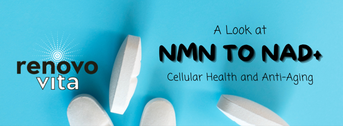 NMN to NAD+: A Biohacker’s Guide to Next-Level Cellular Energy