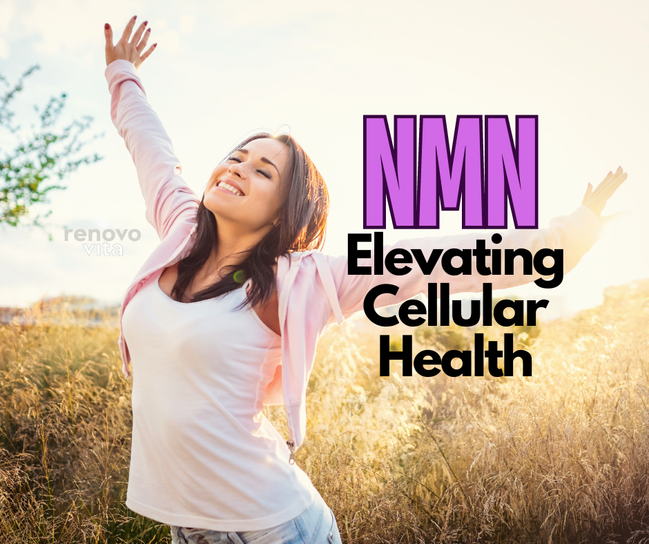 Spotlight on NMN: Elevating Cellular Health