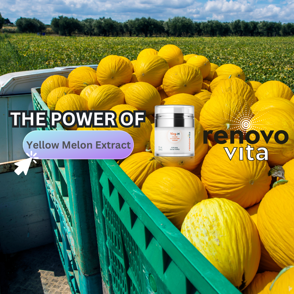 Yellow Melon’s Effects on Skin Cells: Unveiling the Secret of Virg-N Youth Serum
