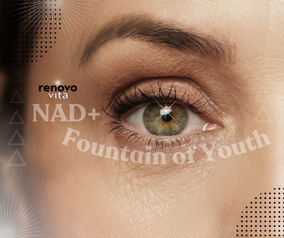 The Modern Fountain of Youth: NAD+