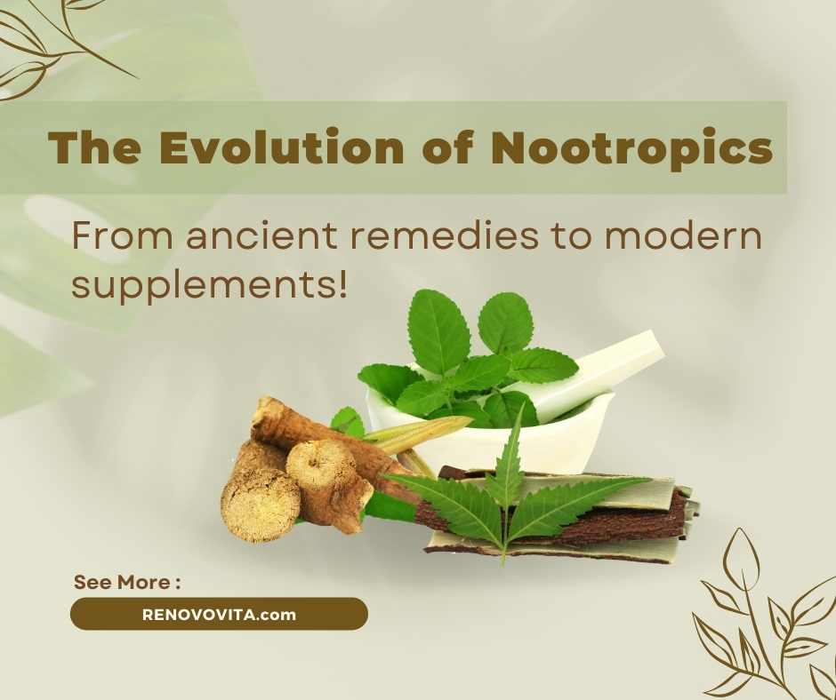 The Evolution of Nootropics: From Ancient Remedies to Modern Supplements