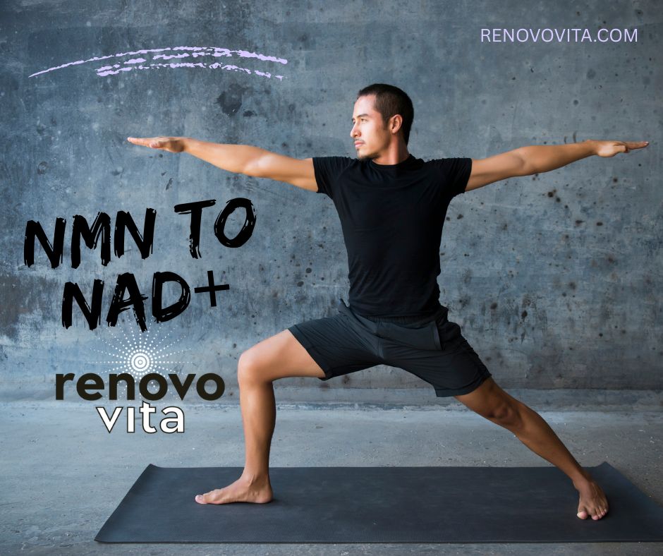 Why NMN is the Best Source for Boosting NAD+