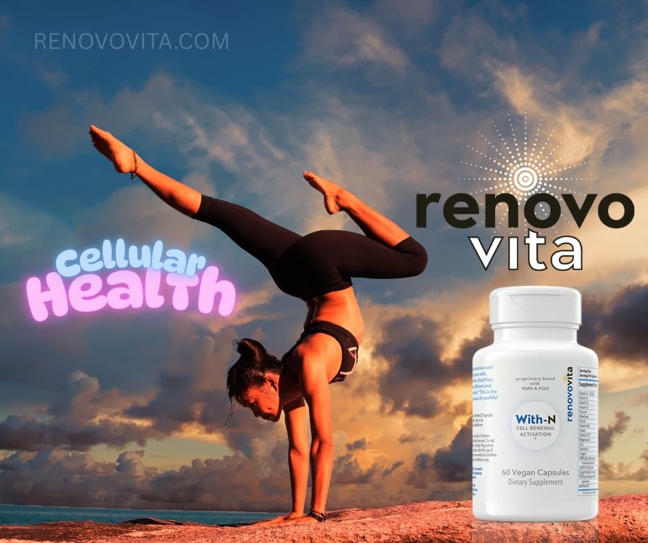 Unlocking the Vital Link Between Cellular Health and Immune Strength