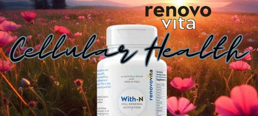 Cellular health and wellbeing, longevity and anti-aging With-N Cell activation
