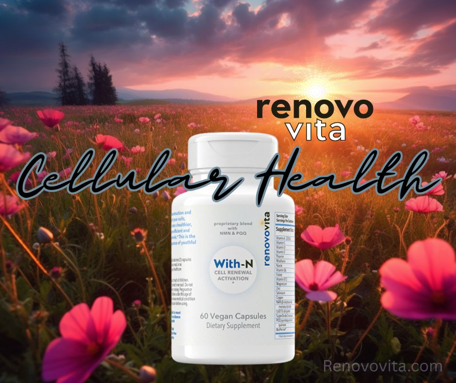 The Role of Cellular Nutrition in Anti-Aging and Longevity